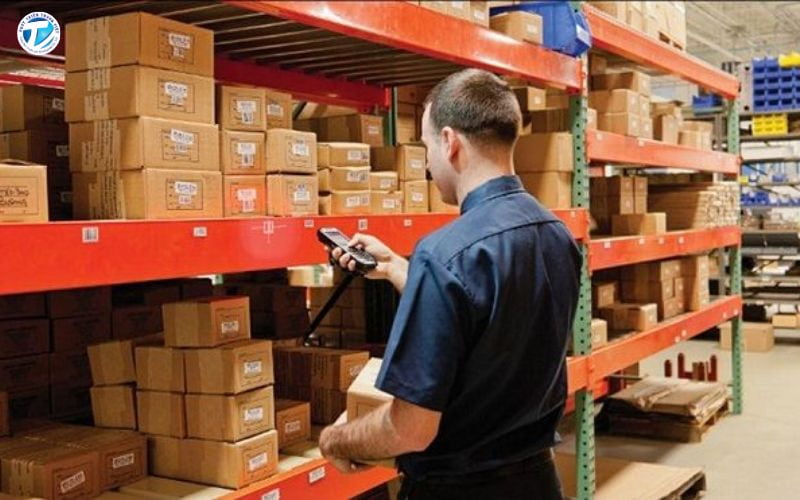 Nhiều doanh nghiệp tuyển thực tập sinh logistics part time nhằm đáp ứng nhu cầu nhân sự linh hoạt